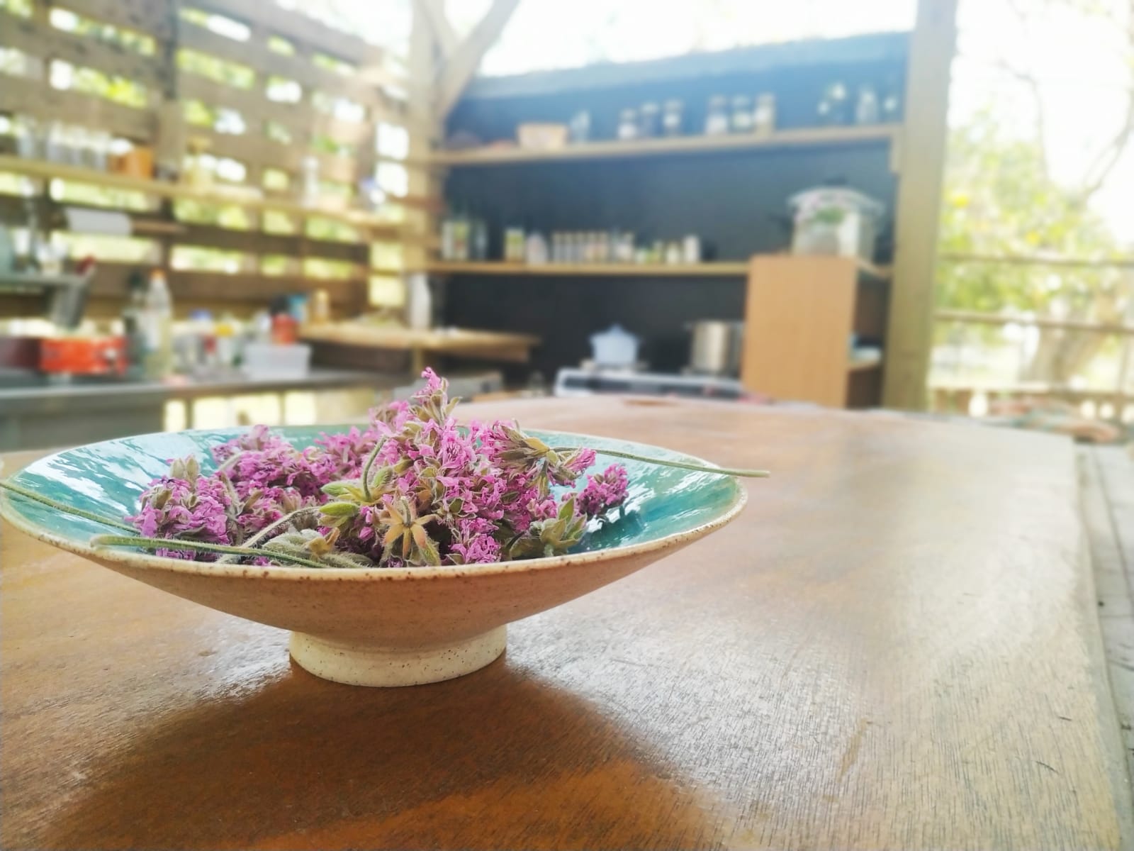 רפואה תזונתית