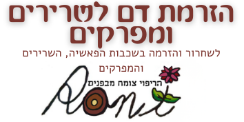 הזרמת דם לשרירים ומפרקים