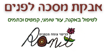 אבקת מסכה לפנים