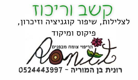 קשב וריכוז