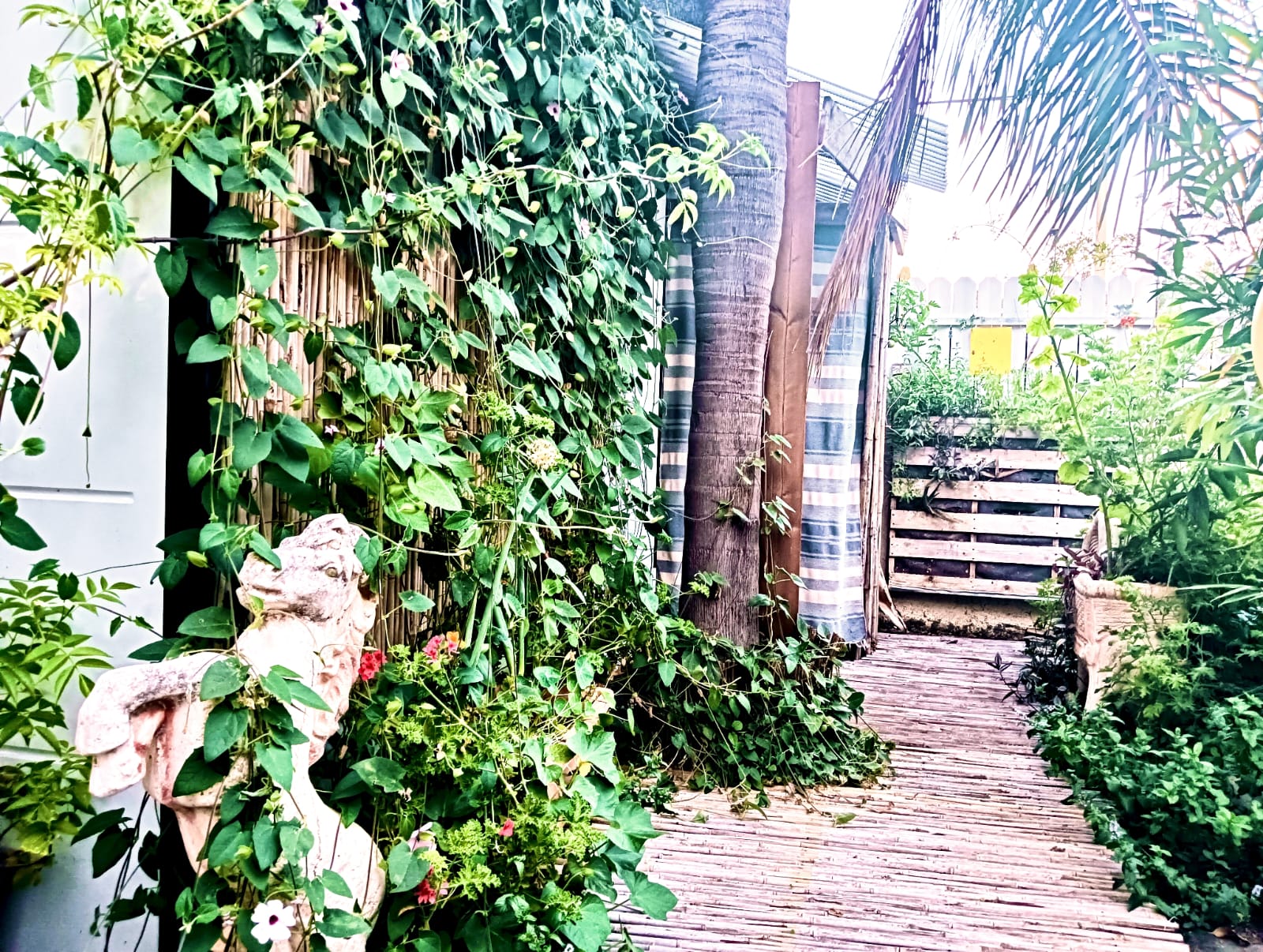 הגינה הטיפולית