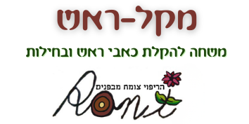 מקל ראש
