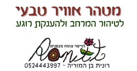 מטהר אוויר טבעי